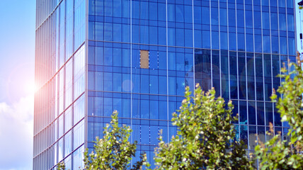 Fototapeta na wymiar Eco architecture. Green tree and glass office building. The harmony of nature and modernity. Reflection of modern commercial building on glass with sunlight. 