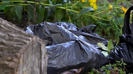 Black trash bag. Green grass. Summer day. Large log. Ecology. Flying flies. Close-up.