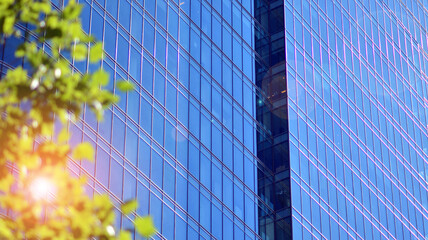 Naklejka na ściany i meble Eco architecture. Green tree and glass office building. The harmony of nature and modernity. Reflection of modern commercial building on glass with sunlight. 