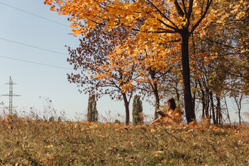Girl in autumn park
