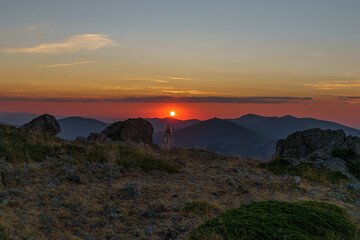 El lobo contemplando el atardecer en lo alto de la montaña