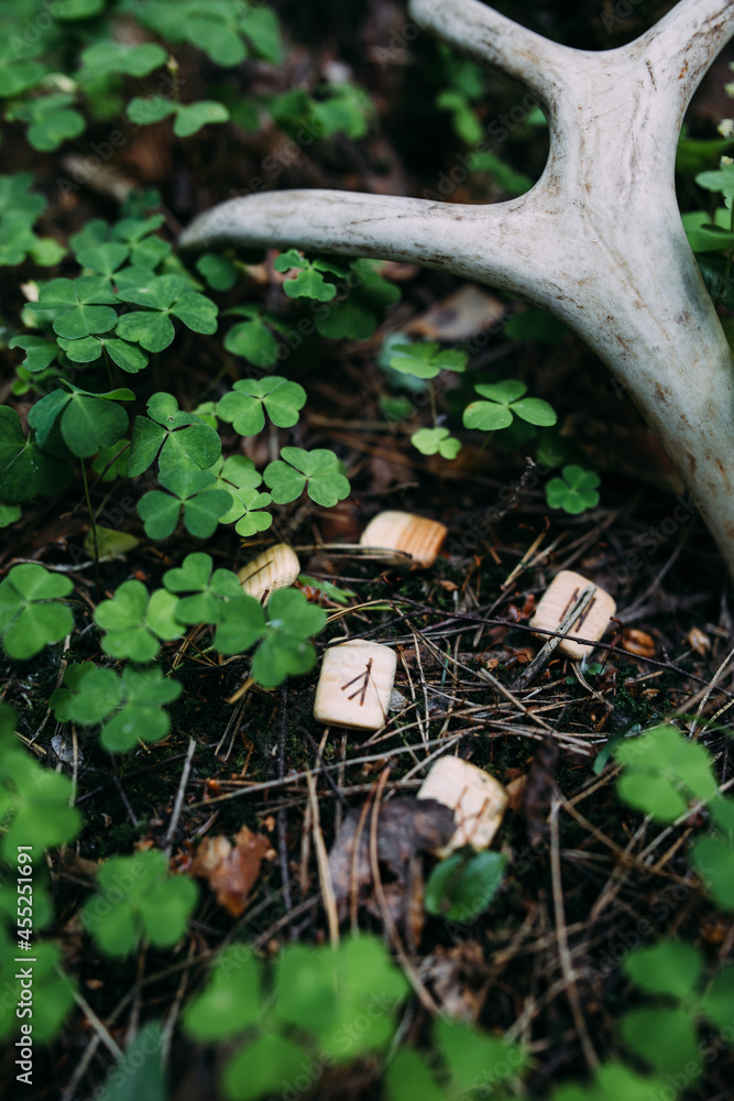 Wall mural Runes scattered in mysterious forest. Occult, esoteric concept.