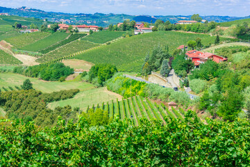 Fototapeta na wymiar View of Neive in the Province of Cuneo, Piedmont, Italy