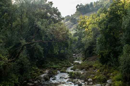 Ecopista Terras de Bouro - Portugal