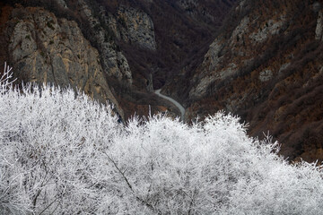 A mountain road passes through a narrow gorge (crevasse). Ice fog, icing rocks and forests and hard...