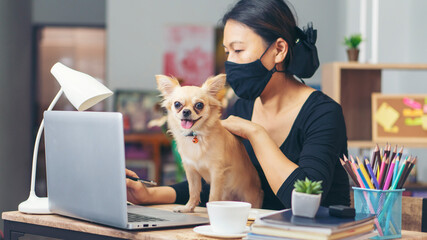 Asian woman typing on laptop at home office. Serious financial female wear casual and glasses, and play with dog. Technology concept.