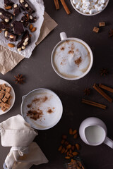 Winter cocoa drink with milk foam and marshmallow in a mug and an aluminum scoop, cinnamon and almonds, cane sugar and star anise, dark chocolate with nuts, top view