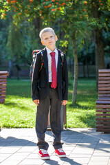 Portrait of a young handsome boy in school uniform