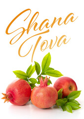 Pomegranates and red apples on white background, traditional food of jewish New Year - Rosh...