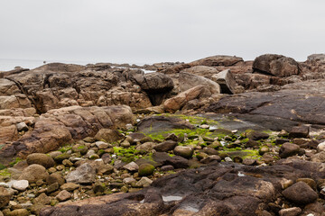Coastal landscape of the Muxia shore also called Costa da Morte with rocks decayed by the weather and mold. 