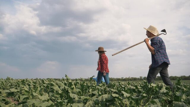 Agriculture. Farmer family in a green field. Organic food concept. Agriculture and business. Family of farmer inspecting the harvest. agriculture organic food. Farmer family business concept.