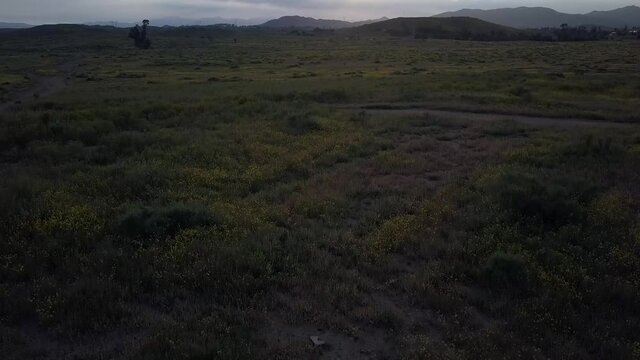A drone shot rising from the Daisey field to revile the sun settings behind the mountains. No color grading done