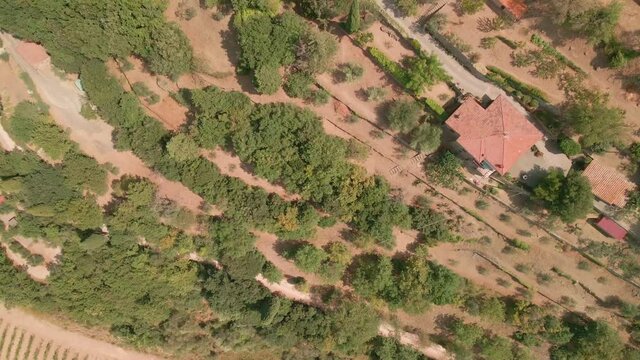 Top View Of Fields And Vegetation Near Sant'Angelo Village In Colle, Montalcino Siena, Tuscany Italy. - Aerial Drone