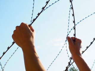 Two hands holding a barbed wire against the blue sky