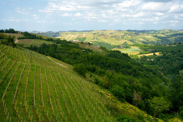 Obraz premium Landscape of Langhe, Piedmont, Italy near Dogliani at May
