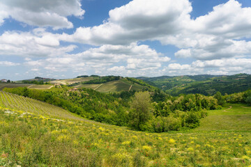Obraz premium Landscape of Langhe, Piedmont, Italy near Dogliani at May