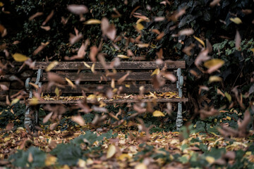 Selective focus on an old wooden bench while leaves falling