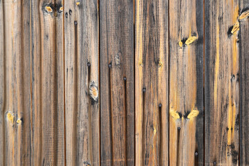 Wall texture made of old black and yellow planks nailed down
