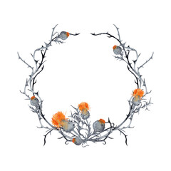 Halloween decorative floral wreath of orange thistle flowers, and  barbed branches. Watercolor hand painted isolated elements on white background.