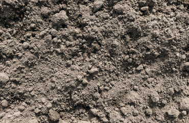Black Dark Soil Dirt Background Texture, Natural Pattern. Flat Top View. Clods of Earth