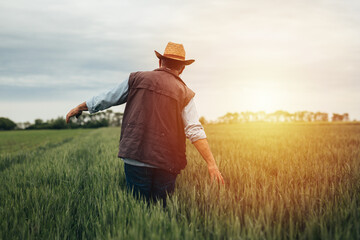 Senior farmer walking through wheat field