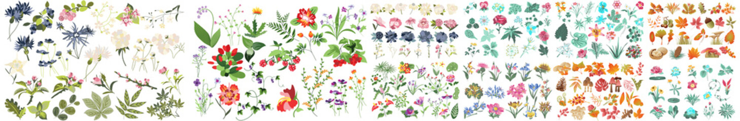 Flowering wildflowers and blooming flowers. Botanical set of garden floral plants. Collection of wild blooming meadow flowers. Horizontal botanical backdrop with border of delicate blooming  - obrazy, fototapety, plakaty