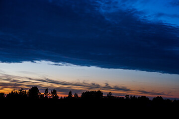 Sunset with the silhouette of the forest