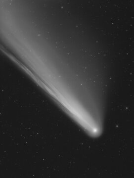 The comet Neowise in black and white