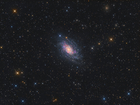 The sprial galaxy NGC 2403 in the constellation Camelopardalis