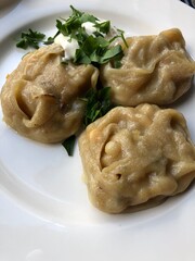 dumplings with meat