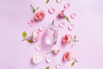Open bottle of perfume with roses, petals, drops of water composition on the pink background. Fresh roses aroma. Idea of sweet pure smell of roses for young girls. 