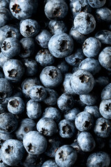 Freshly picked blueberries. Fresh Blueberry Background. Texture blueberry berries close up. Sprinkle blueberries. Ripe blueberries with copy space for text. Fresh blueberries scattered. 