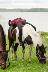 The girl is lying on a horse by the lake.