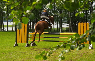 A jockey on a brown horse jumps over barriers.