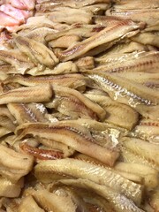 fresh fish at the market