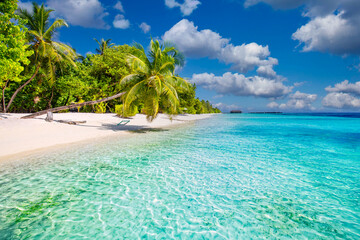 Amazing island beach. Tropical landscape of summer scenery, white sand with palm trees. Luxury...