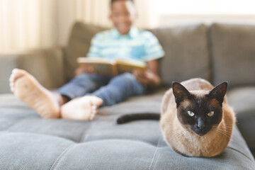 African american boy reading book and sitting on couch with cat in living room