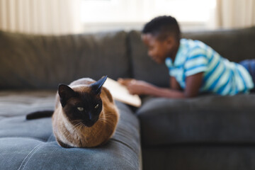 African american boy reading book and lying on couch with cat in living room