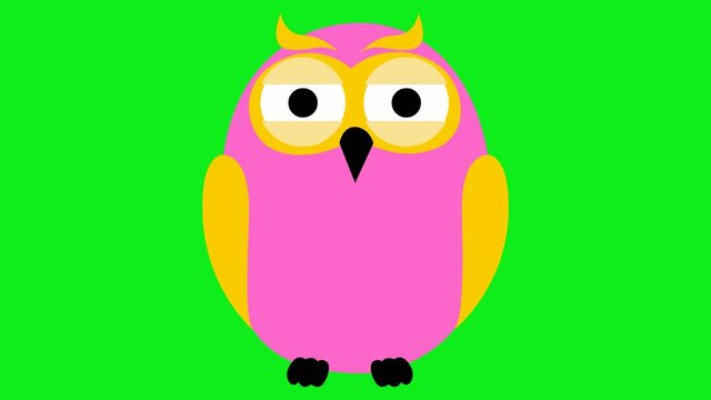 Animated funny pink owl. Looped video. Vector illustration isolated on a green background.