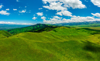 Fototapeta na wymiar Green grass and mountain landscape in Nalati grassland,Xinjiang,China.Aerial view.