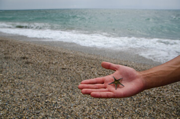 Star fish in the hand of young man near the sea
