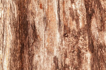 Cracks of tree bark texture and background seamless - obrazy, fototapety, plakaty