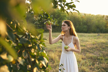 Woman in white dress in field nature fruits apples