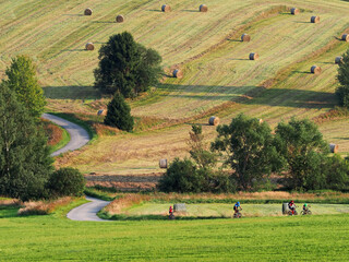 Group of riders riding bicycles trought a rural landscape, Czech republic