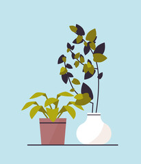 potted plants icon planting greenhouse botanical garden concept