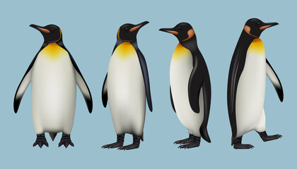 Pinguins realistic. Arctic fauna wild animals in cold outdoor environment father mother and other imperial pinguins decent vector illustrations set
