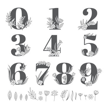 Flower ornate numbers. Decorative floral alphabet elements botanical font letters collection recent vector templates numbers set