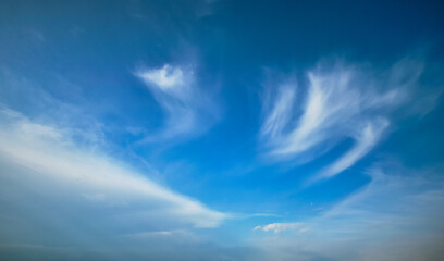 Blue sky with whie Cirrus clouds