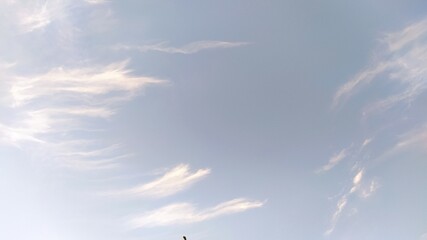 Beautiful cirrus clouds against blue sky - 455285670