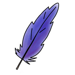 bird feather icon, illustration on a white background isolated